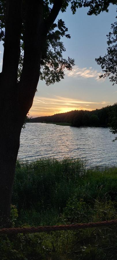 Domek Letniskowy U Marcina I Ani Borsk Εξωτερικό φωτογραφία